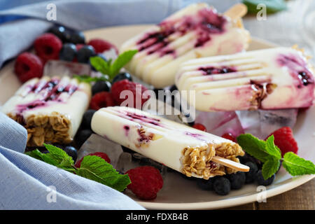 Frozen Yoghurt Eis am Stiel mit Hafer und Blaubeeren Marmelade Stockfoto