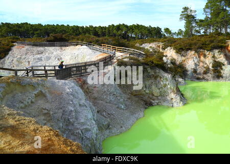 Die atemberaubende und erstaunliche geothermischen Landschaft von Wai-O-Tapu Thermalbereich, Rotorua, Neuseeland. Stockfoto