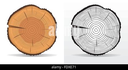 Vektor-Illustration der Baum Ringe Texturen und Sägeschnitt Baumstamm Stock Vektor