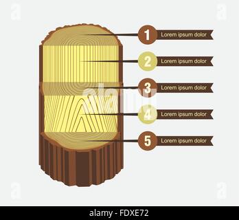 Vektor-Illustration der Baum Ringe Texturen und Sägeschnitt Baumstamm Stock Vektor
