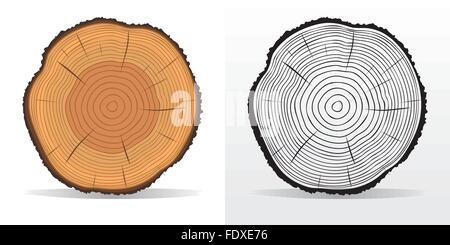 Vektor-Illustration der Baum Ringe Texturen und Sägeschnitt Baumstamm Stock Vektor