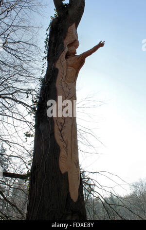 Holzschnitzerei von Owain Glyndwr auf von Baum Carver Simon O'Rourke in Plas macht Woods Bersham Wrexham Stockfoto