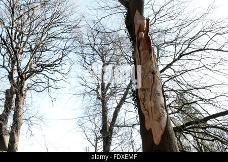 Holzschnitzerei von Owain Glyndwr auf von Baum Carver Simon O'Rourke in Plas macht Woods Bersham Wrexham Stockfoto