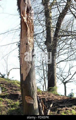 Holzschnitzerei von Owain Glyndwr auf von Baum Carver Simon O'Rourke in Plas macht Woods Bersham Wrexham Stockfoto