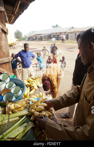 Kaufen frische Bananen von einem am Straßenrand Shop in Uganda. Stockfoto