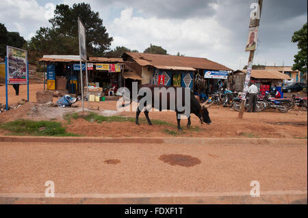 Am Straßenrand Dorfszenen in ländlichen Uganda, mit Shops und Stores auf einer staubigen Straße. Stockfoto