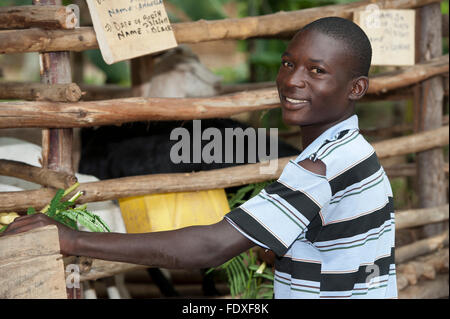 Junglandwirt mit jungen Boer Ziege, die mehr Fleisch als traditionelle Rassen, Uganda produziert. Stockfoto