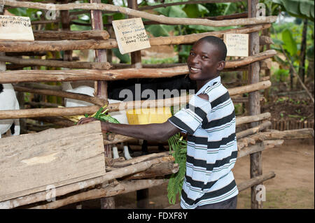 Junglandwirt mit jungen Boer Ziege, die mehr Fleisch als traditionelle Rassen, Uganda produziert. Stockfoto