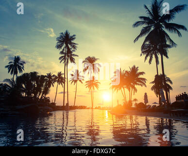 Palmen auf einem tropischen Meer beim traumhaften Sonnenuntergang. Stockfoto