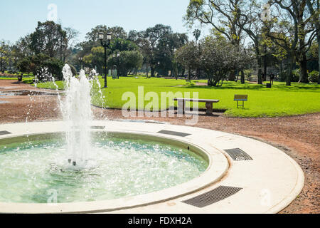Die Innenstadt von Buenos Aires-Parks im Stadtteil Palermo Palermo Wald genannt Stockfoto