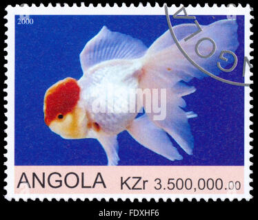 ANGOLA - CIRCA 2000: eine Briefmarke gedruckt in Angola zeigt Goldfish Stockfoto