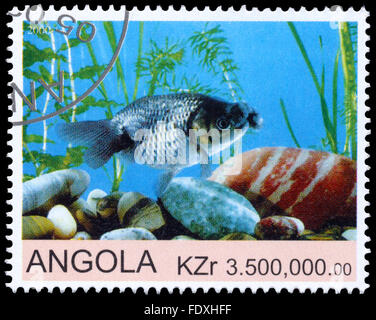 ANGOLA - CIRCA 2000: eine Briefmarke gedruckt in Angola zeigt Goldfish Stockfoto