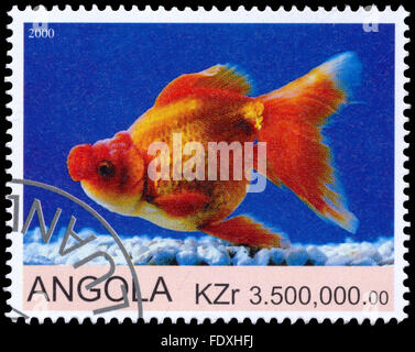 ANGOLA - CIRCA 2000: eine Briefmarke gedruckt in Angola zeigt Goldfish Stockfoto