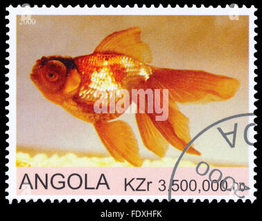 ANGOLA - CIRCA 2000: eine Briefmarke gedruckt in Angola zeigt Goldfish Stockfoto