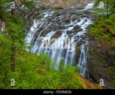 Englishman River Falls Provincial Park, Vancouver Island, BC: Upper Englishman River Falls Stockfoto