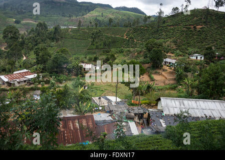 Ein kleines Dorf mit Teepflückerinnen Kaserne bekannt als "Linien" auf einer Teeplantage in der Zentralprovinz in Sri Lanka. Stockfoto