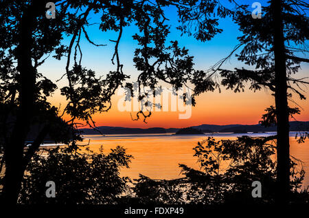 Saltspring Island, Britisch-Kolumbien: Pinien Silhouette in der Abenddämmerung auf Biber Punkt mit Swanson Kanal im Hintergrund, Ruck Stockfoto