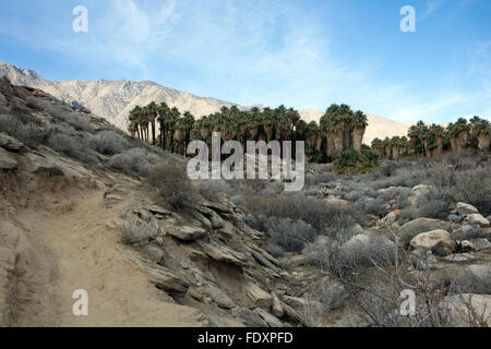 Ein Blick auf Indian Canyons in Palm Springs, Kalifornien Stockfoto
