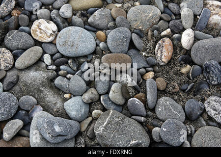 viele verschiedene Steine am Strand Stockfoto