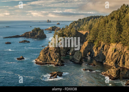 Natural Bridges Bereich, Samuel H. Boardman State Scenic Korridor, Oregon Coast. Stockfoto