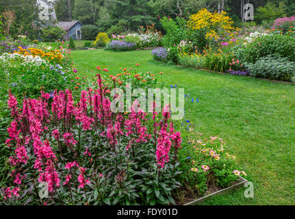 Northeast Harbor, Maine: Thuja Garten im Sommer. Featuring Lobelia 'Fan Lachs", weiß blühende Phlox, Zinnien, veronica Stockfoto