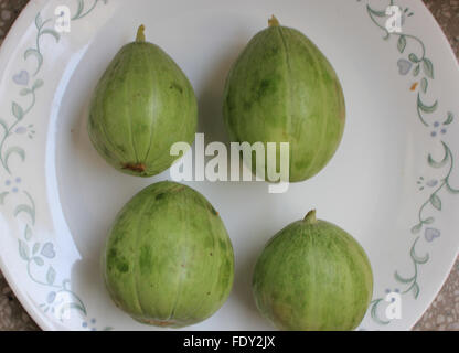 Wanga Früchte, Cucumis Melo Subspecies Melo, Gurke wie aber abgerundete längliche Frucht, leichte farbige Nähte, Gemüse, Salat Stockfoto