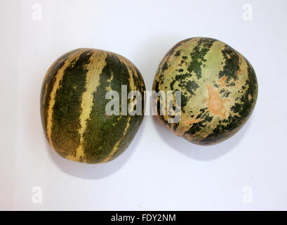 Wild Melon, Cucumis Melo Var Agrestis, Obst Abschnitt, Bari Kachri, ovale Frucht, grüne Haut, dunkle grüne Flecken, blasse grüne Fleisch Stockfoto