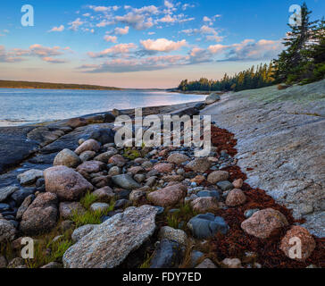 Deer Isle, Maine: Morgenlicht an Jericho Bucht mit bunten Felsen an der Küste Stockfoto