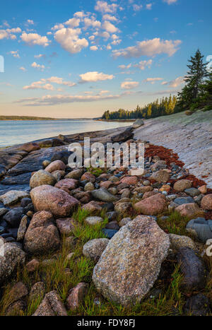 Deer Isle, Maine: Morgenlicht an Jericho Bucht mit bunten Felsen an der Küste Stockfoto