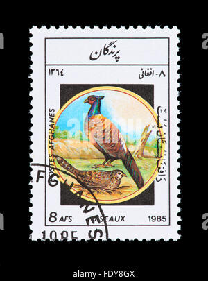 Briefmarke aus Afghanistan, ein Fasan darstellen. Stockfoto
