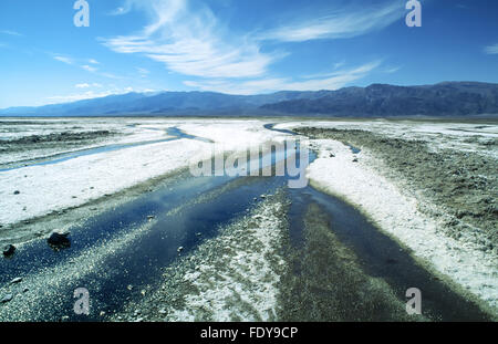 Salzwüste und Bach in der Nähe von Badwater im Death Valley Nationalpark, Kalifornien, USA Stockfoto