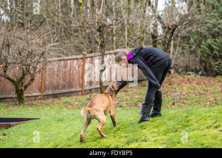 Vier Monate alten Rhodesian Ridgeback Welpen, Ted, scheinbar im Gespräch mit einem zehn Jahre alten Mädchen in Issaquah, Washington, USA Stockfoto