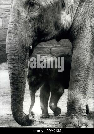 1962 - das ist mein Baby: die ersten Elefanten leben in Großbritannien geboren werden ist im Chester Zoo wo wird nicht nur von seiner Mutter, sondern auch durch die anderen Elefanten in Verbindung cossetted ist. Chester ist eine der einzigen Zoos der Welt, wohin alle Elefanten, freigesetzt, die leider bis zum Tod des Kindes Vater letztes Jahr bei Nobby, eine patzige Erwachsenen En Musth (wenn Elefanten Beserk führte gehen), erschossen zu werden, wenn er entkam. Das Baby ist so weit zugänglich, ruhig und Gehorsam. und Mama ist wie alle Frauen - für sie ist er der weltweit besten Baby. (Kredit-Bild: © Keystone Bilder USA/ZUMAPRESS.com) Stockfoto