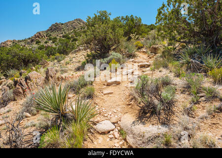 Teutonia Peak Trail in Mojave National Preserve, Kalifornien Stockfoto