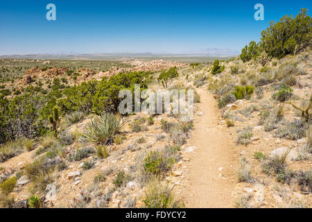 Teutonia Peak Trail in Mojave National Preserve, Kalifornien Stockfoto