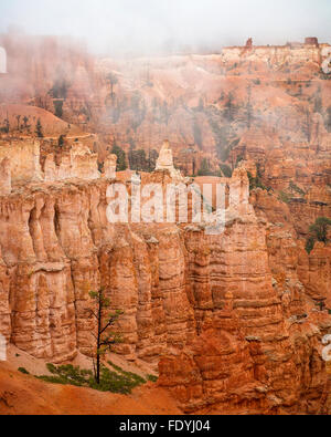 Bryce Canyon Nationalpark, UT: Nebel in den Sandstein-Formationen und Hoodoos der Bryce Canyon Stockfoto