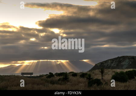 Eine Bank ist auf einer Landzunge von dämmerungsaktiv Strahlen (Sonnenstrahlen oder Gott Balken) abhebt, wie Gewitterwolken über Kaikoura Landzunge Rollen. Stockfoto