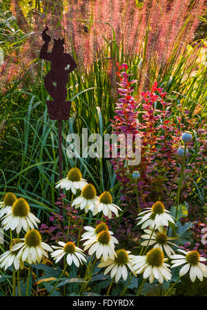 Maury-Vashon Island, WA: Sommer Staudengarten mit Echinacea "Cheyenne Spirit", Berberitze 'Orange Rocket', Lampenputzergras Stockfoto