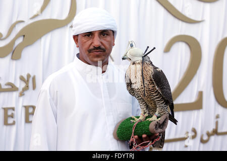 Dubai, Vereinigte Arabische Emirate, hält arabische eine Saker Crested offensichtlich Stockfoto