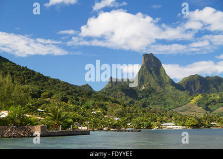 Cooks Bay, Mo'orea, Gesellschaftsinseln, Französisch-Polynesien Stockfoto