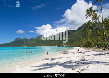 Temae Strand, Moorea, Gesellschaftsinseln, Französisch-Polynesien Stockfoto