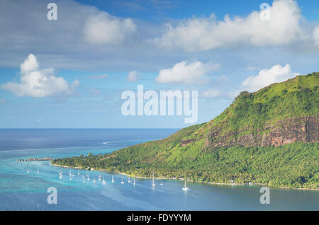 Opunohu Bay, Mo'orea, Gesellschaftsinseln, Französisch-Polynesien Stockfoto