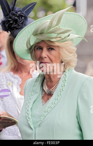 Ascot, Großbritannien, Camilla, Herzogin von Cornwall und Rothesay Stockfoto