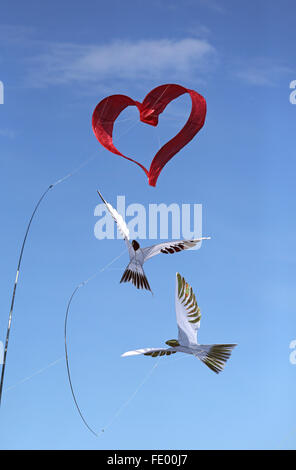 Berlin, Deutschland, in Form von Drachen Herzen und Tauben in der Luft Stockfoto