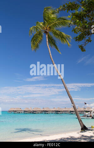 Wasserbungalows des Sofitel Hotel, Moorea, Gesellschaftsinseln, Französisch-Polynesien Stockfoto