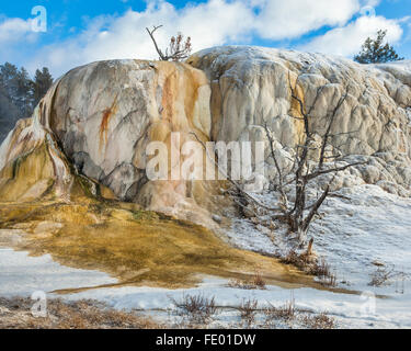 Yellowstone Nationalpark, WY: Orange Frühling Hügel auf den Mammoth Hot Springs Terrassen. Stockfoto