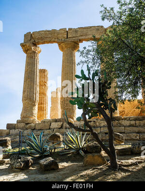 Überreste der Tempel der Juno Spalte und Architravs, Agrigento, antiken griechischen Stadt von Akragas, Sizilien, Italien Stockfoto