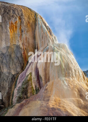 Yellowstone Nationalpark, WY: Orange Frühling Hügel auf den Mammoth Hot Springs Terrassen. Stockfoto