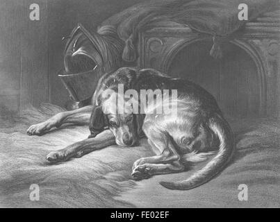 Hunde: Schlafen Bloodhound-Landseer, antiken print c1880 Stockfoto