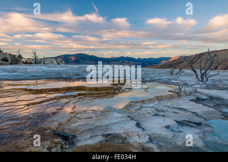 Yellowstone Nationalpark, WY: Abend Wolken reflektiert in den Thermalbädern auf den oberen Terrassen von Mammoth Hot Springs Stockfoto